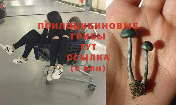 кристаллы Алексин