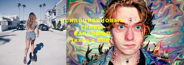 тгк Алексеевка