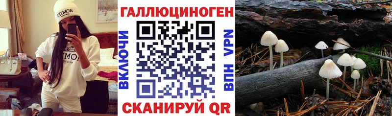 Галлюциногенные грибы GOLDEN TEACHER  Таштагол 